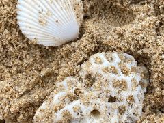 -三亚海棠湾万丽度假酒店