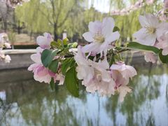 -元大都城垣遗址公园