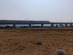 -光明小镇欢乐田园