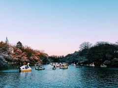 -井之头恩赐公园