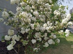 -大龙山(地铁站)