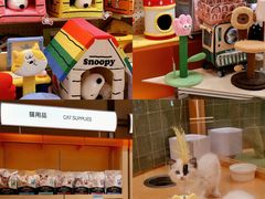 -帕帕拉兹宠物(亚洲旗舰店)