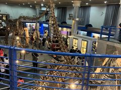 -国家自然博物馆