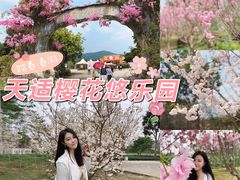 -天适樱花悠乐园