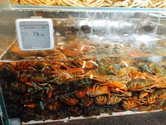 -超级物种(省府店)