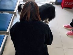 -申普宠物医院·眼科·心内科·影像科(普陀分院)