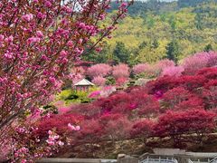 -石岛赤山风景区
