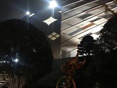 -重庆国际马戏城