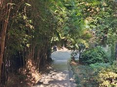 -白沙古井