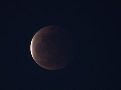 -钢管厂五区小郡肝串串香(南山店)