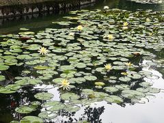 -杭州动物园