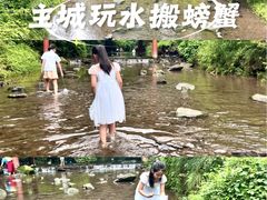 -重庆彩云湖湿地公园