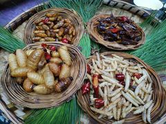 -昆虫窝子·特色云南菜(拓东路总店)