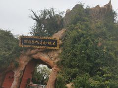 -大槐树寻根祭祖园