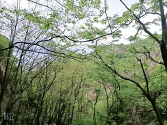 -秦岭终南山世界地质公园翠华山景区