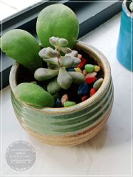 -尚艺造型.剪烫染.接发