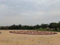 -汉长安城未央宫国家考古遗址公园