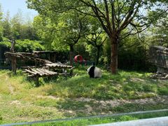 -宁波野生动物园
