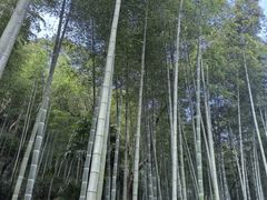 -黄公望隐居地