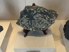 -房山世界地质公园博物馆