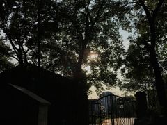 -上海佘山国家森林公园西佘山园