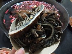 -肥龙火锅(南坪店)
