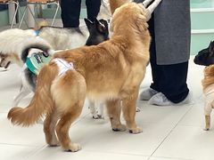 -怪兽屋·羊驼·猫咖·狗咖(俊华广场店)