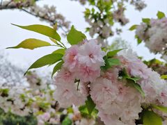 -江南大学(蠡湖校区)