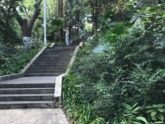 -中山公园(石岐街道)