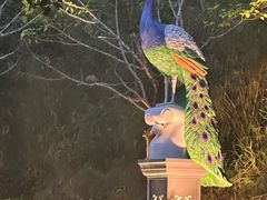 -孔雀湖生态旅游区