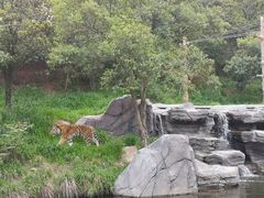 -宁波野生动物园