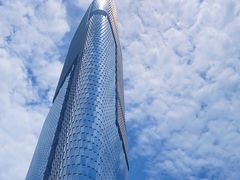 -紫峰大厦