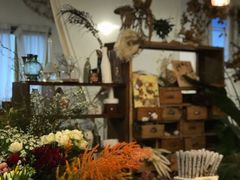 -知物癖(牛王庙店)