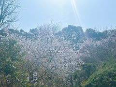 -东京国立博物馆