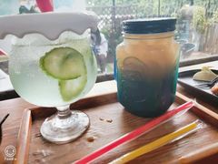 -柴犬高等学院·狗咖·柴犬售卖·宠物训练