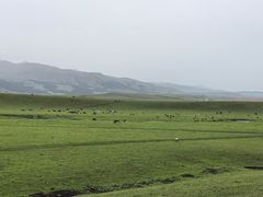 -新疆那拉提国家旅游度假区