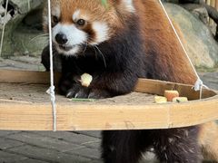 -常州淹城野生动物世界