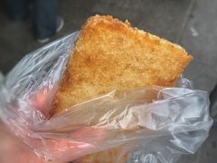 糍饭糕-刘飞放心无铝油条(阳光翠竹苑店)