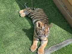 -哈尔滨北方森林动物园