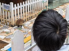 -昆明动物园
