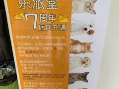 -乐派堂宠物医院·猫友好· 心脏科(东街店)