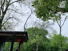 -WeLope紫金山探险公园