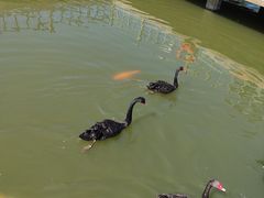 -鄂尔多斯野生动物园