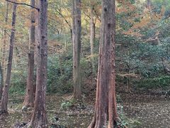 -宋宴(虎跑店)
