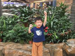 -东浩兰生上海世博展览馆