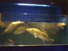 西苑湘湖大院(湘湖大院茶馆)-湘湖大院(越王路店)