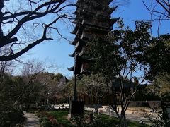 -常熟方塔园