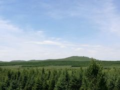 -塞罕坝国家级自然保护区