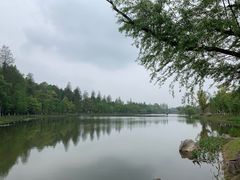 -常德桃花源景区