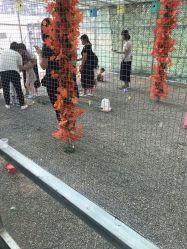 -萌宠亲子动物乐园(槐房万达店)